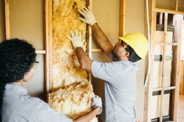 Best Insulation for New Construction  in Glendale, MO