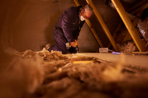 Best Fiberglass Insulation  in Glendale, MO